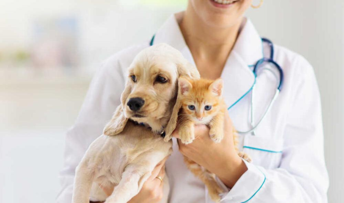 Nearest veterinary on sale